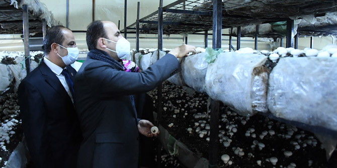 “Akören’i mantarda ve susamda markalaştırmak için çalışıyoruz”