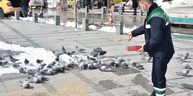 ‘Sokaktaki canlarımız bize Allah’ın emaneti’
