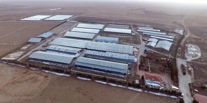 'Sütbank' davasında 2 sanığa beraat kararı
