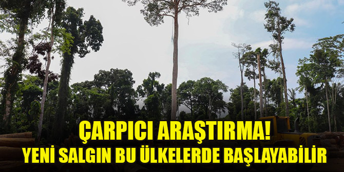 Çarpıcı araştırma! Yeni salgın bu ülkelerde başlayabilir