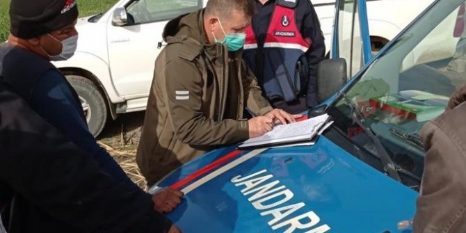 Pitbull ile oklu kirpi avına 26 bin 563 lira para cezası