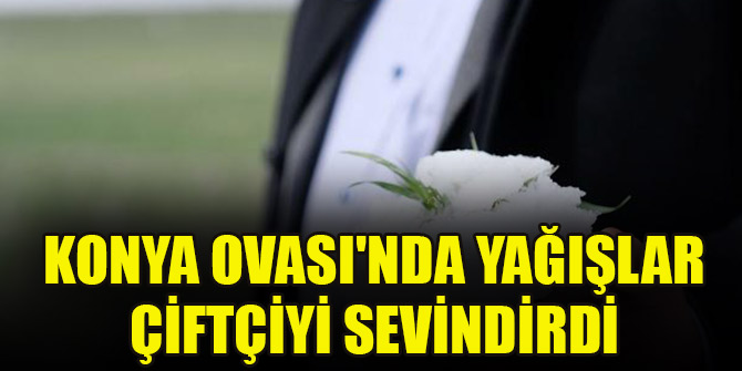 Konya Ovası'nda yağışlar çiftçiyi sevindirdi