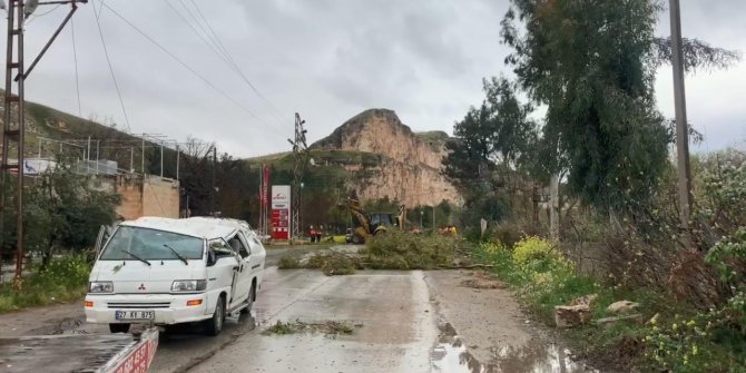 Fırtına; ağaçlar devrildi, 4 araç hasar gördü