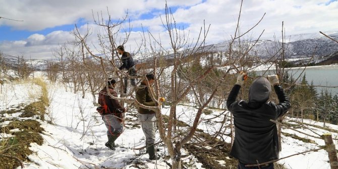 Toroslar’daki kiraz bahçeleri kar altında yeni sezona hazırlanıyor