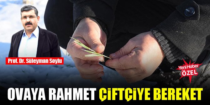 Yağışlar çiftçinin imdadına yetişti