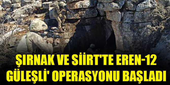Şırnak ve Siirt'te Eren-12 Güleşli' operasyonu başladı