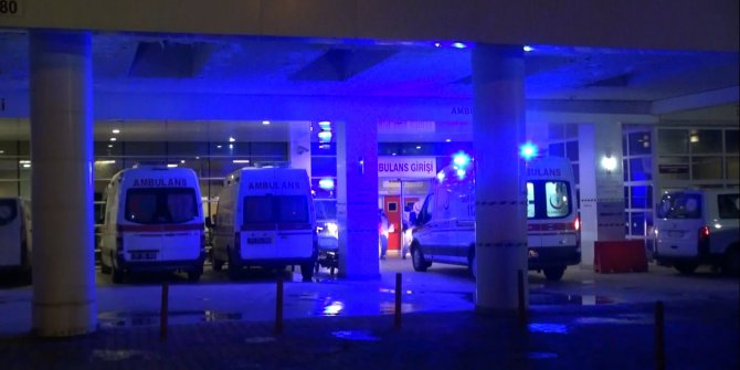 Başıboş gezen pitpul, 8 yaşındaki çocuğa saldırdı