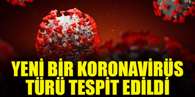 Yeni bir koronavirüs türü tespit edildi
