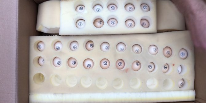 Üniversiteli kardeşlerin hobi olarak başladıkları kuluçkalık yumurta üretimi gelir kapısı oldu