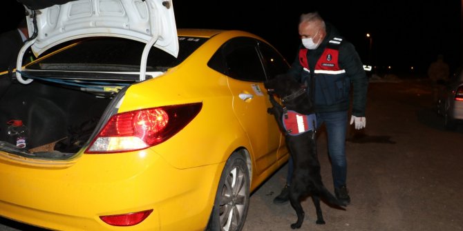 Hassas burunlu köpeklerle didik didik aradılar