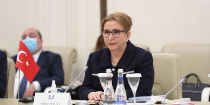 Pekcan: Azerbaycan'la 15 milyar dolarlık ticaret hacmi hedefine yaklaştık
