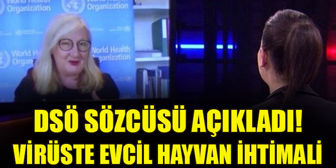 DSÖ sözcüsü açıkladı! Virüste evcil hayvan ihtimali