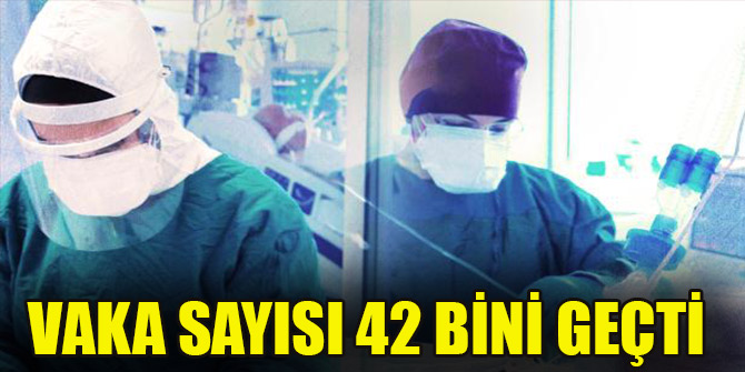 Vaka sayısı 42 bini geçti