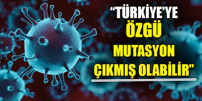 Prof. Dr. İsmail Balık: Türkiye'ye özgü mutasyon çıkmış olabilir