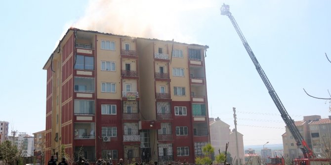 Alevlerin arasına dalıp evcil hayvanlarını kurtardılar