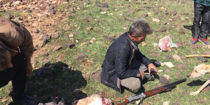 Kaçak avlanan şahıs yakalandı