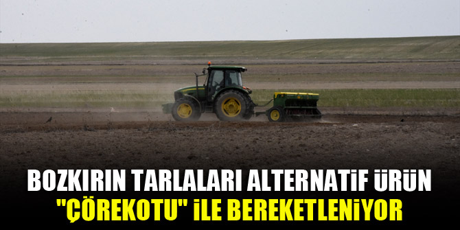 Bozkırın tarlaları alternatif ürün "çörekotu" ile bereketleniyor