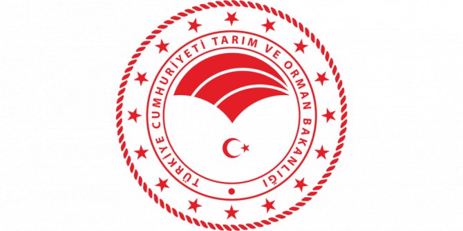 İhaleyle araç kiralama hizmeti alınacak