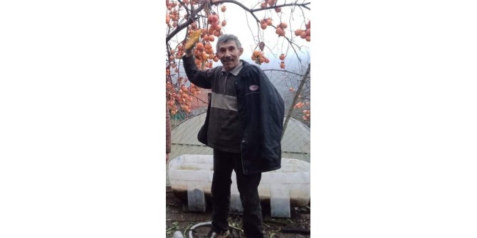 Kestiği ağacın altında kalarak öldü