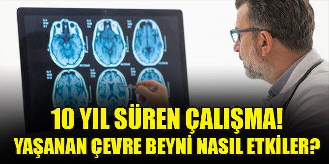 10 yıl süren çalışma! Yaşanan çevre beyni nasıl etkiler?
