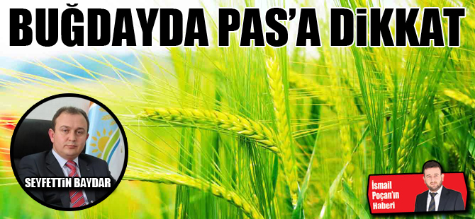 Buğdayda pas’a dikkat