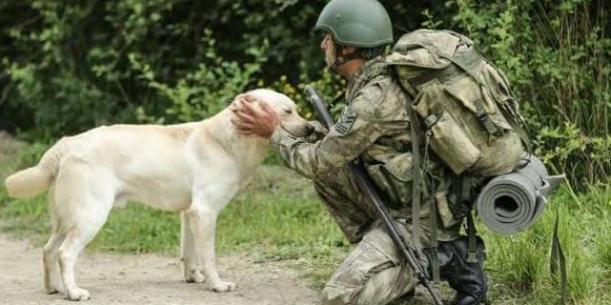 Terör mağarasına Albeyaz operasyonu