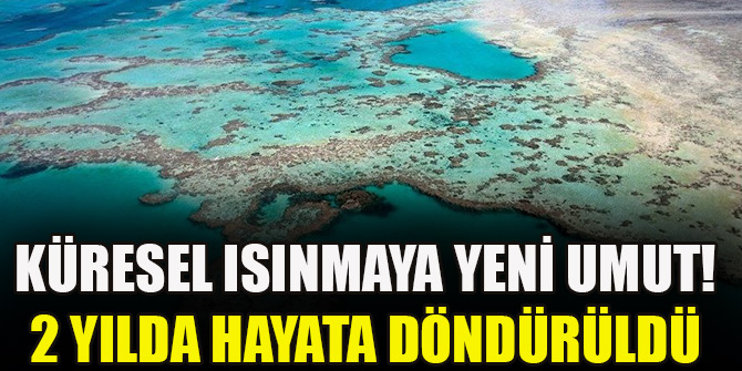 Küresel ısınmaya yeni umut! 2 yılda hayata döndürüldü