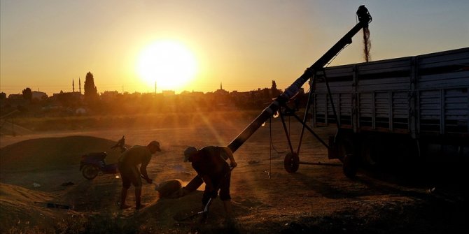 Üreticilere 1,5 milyar liradan fazla destek ödemesi yapılacak