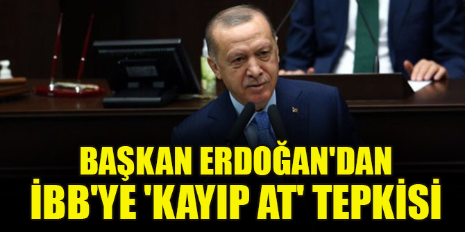 Cumhurbaşkanı Erdoğan'dan İBB'ye 'kayıp at' tepkisi