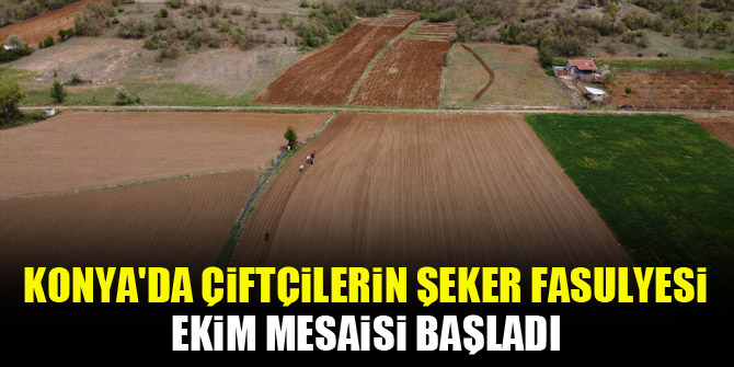 Konya'da çiftçilerin şeker fasulyesi ekim mesaisi başladı