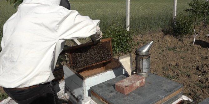 Kuraklık bal üretimini riske soktu