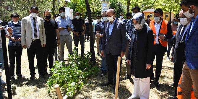 Konya'da, Kovid-19'dan ölen tıp öğrencisi Merve Mercan'ın anısına fidan dikildi