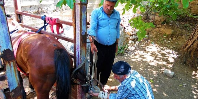 Yarım asırlık nalbant, son çivileri çakıyor