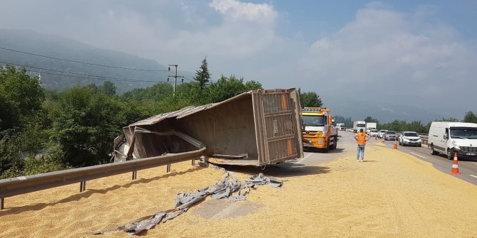 Soya fasulyesi yüklü tır devrildi