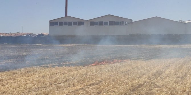 Anız yangını az kalsın fabrikayı yok ediyordu
