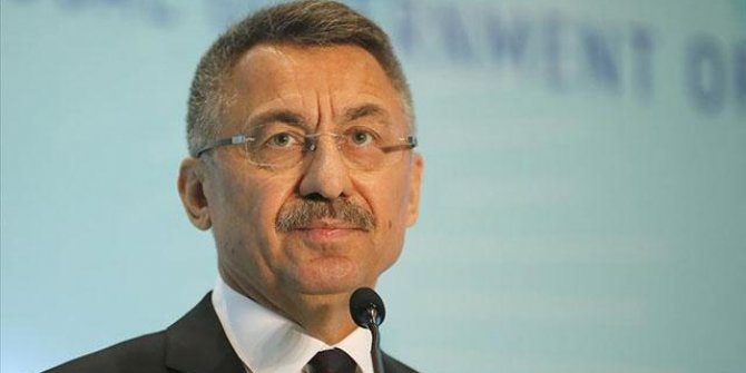Cumhurbaşkanı Yardımcısı Oktay'dan Efelere tebrik
