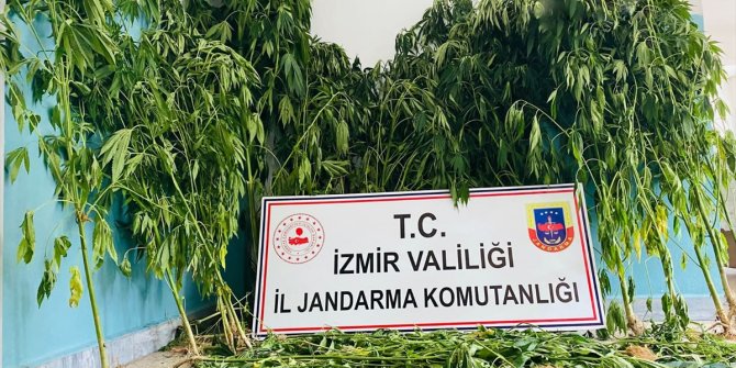 İzmir'de düzenlenen uyuşturucu operasyonunda 12 zanlı yakalandı