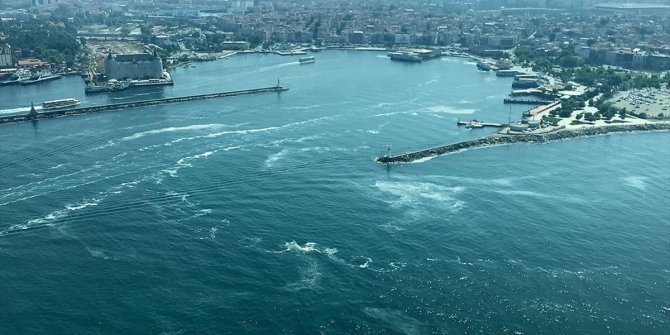 YÖK Marmara'nın müsilaj sorununa çözüm için doktoralı bilim insanlarını burslu yetiştirecek