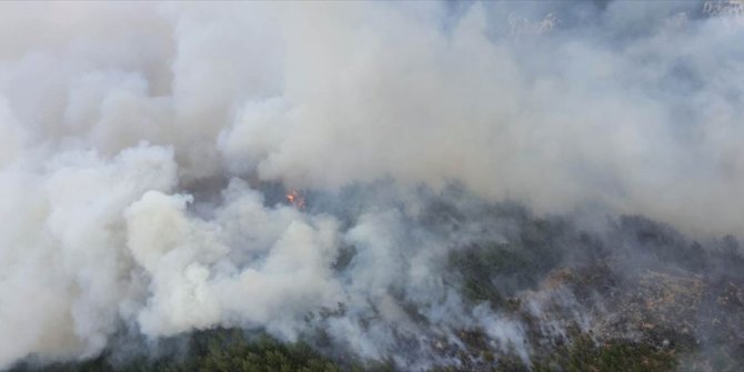 Denizli'nin Acıpayam ilçesinde orman yangını çıktı