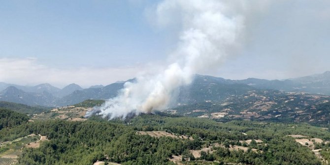 Osmaniye’de yangını kontrol altına alma çalışmaları sürüyor
