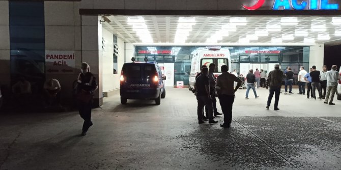 Tartıştığı iki kardeşini silahla vurarak öldürdü