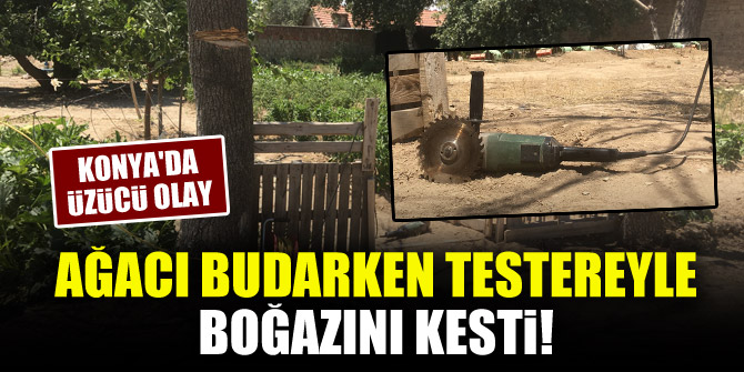 Konya'da üzücü olay! Ağacı budarken testereyle boğazını kesti