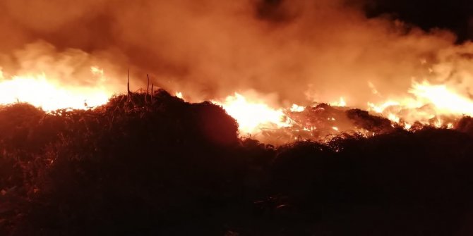 Hatay’da bahçe yangını korkuttu