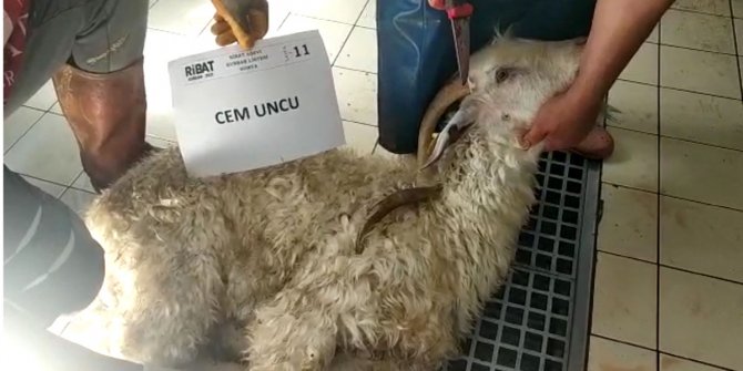 Ribat Eğitim Vakfı kurbanla paylaştı