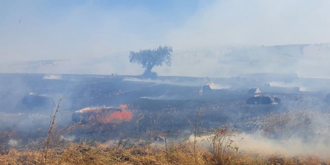 100 dönüm arazi ve 350 saman balyası yandı