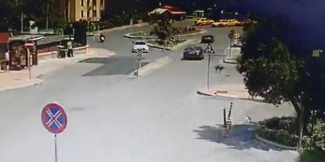 Yolda yatan köpeği ezip, yoluna devam etti