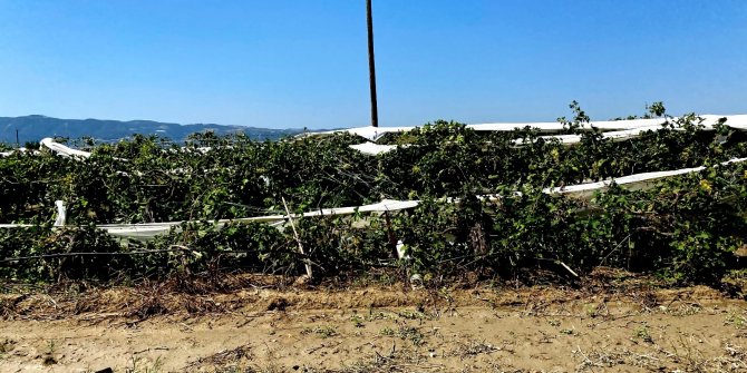 Dolu ve fırtına 11 bin dekarlık alana zarar verdi