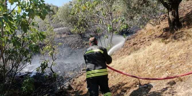 Zirai alandaki yangın evlere ulaşmadan söndürüldü