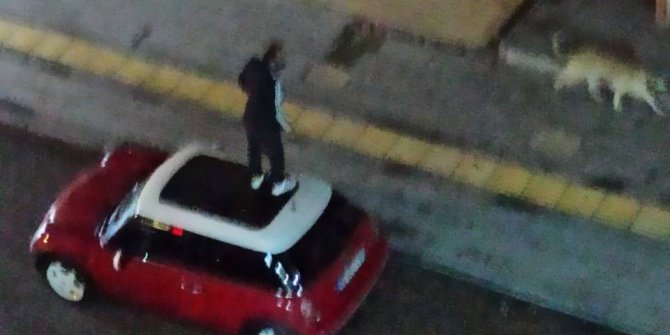Otomobilin üzerine çıktı, köpekleri çakmakla uzaklaştırmaya çalıştı