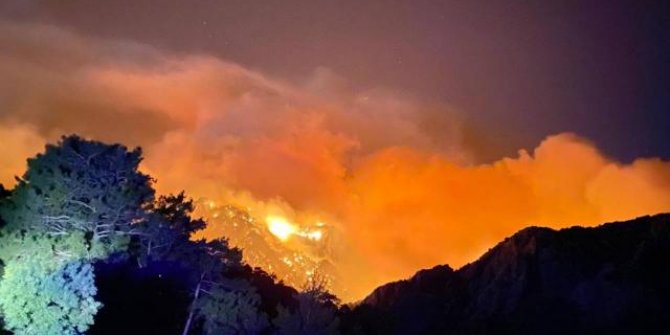 Antalya'nın Akseki ilçesinde orman yangını çıktı
